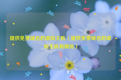 提供免费域名的虚拟主机（提供免费域名的虚拟主机有哪些）