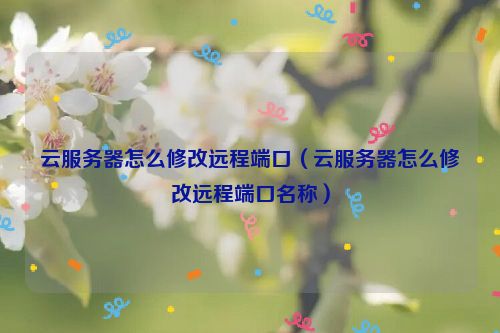 云服务器怎么修改远程端口（云服务器怎么修改远程端口名称）