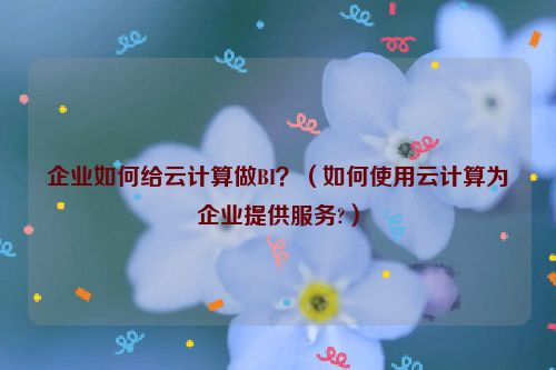 企业如何给云计算做BI？（如何使用云计算为企业提供服务?）