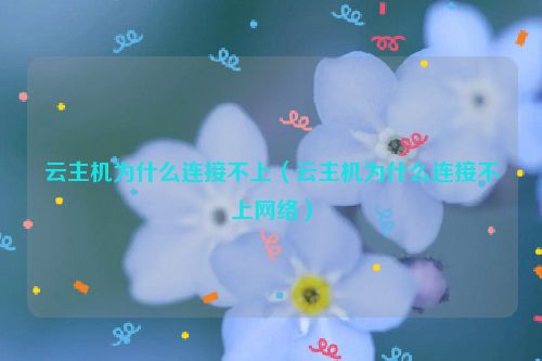 云主机为什么连接不上（云主机为什么连接不上网络）