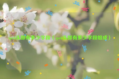 ipv6头部有多少字段（ipv6头部有多少字段组成）