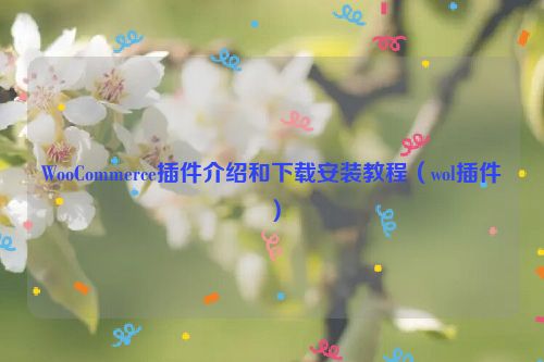 WooCommerce插件介绍和下载安装教程（wol插件）