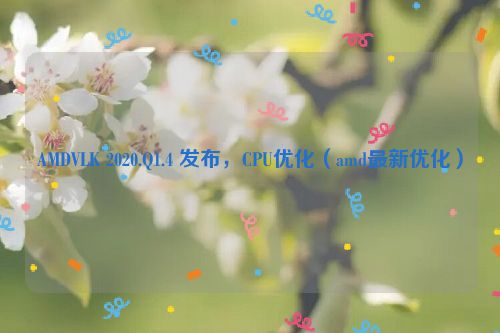 AMDVLK 2020.Q1.4 发布，CPU优化（amd最新优化）