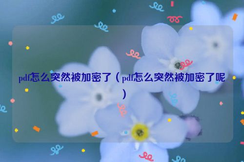 pdf怎么突然被加密了（pdf怎么突然被加密了呢）