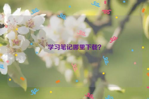 学习笔记哪里下载？