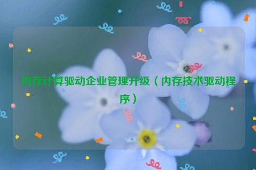 内存计算驱动企业管理升级（内存技术驱动程序）