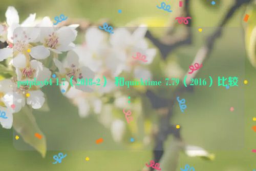 potplay64 1.7（2018-2） 和quicktime 7.79（2016）比较：