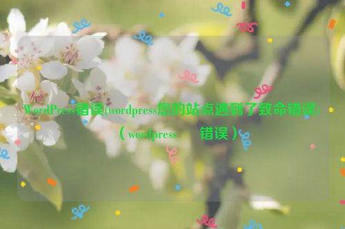 WordPress错误(wordpress您的站点遇到了致命错误)（wordpress › 错误）