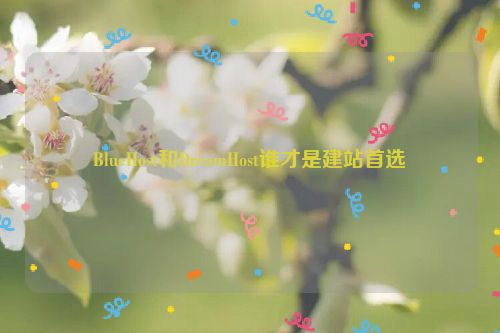 BlueHost和DreamHost谁才是建站首选