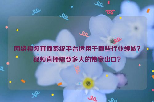 网络视频直播系统平台适用于哪些行业领域？视频直播需要多大的带宽出口？