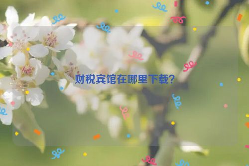 财税宾馆在哪里下载？