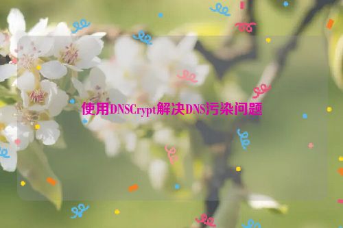 使用DNSCrypt解决DNS污染问题