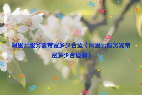 阿里云服务器带宽多少合适（阿里云服务器带宽多少合适啊）