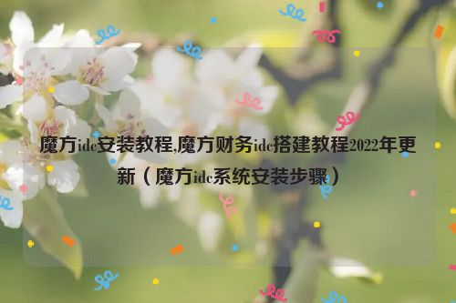 魔方idc安装教程,魔方财务idc搭建教程2022年更新（魔方idc系统安装步骤）