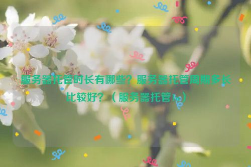 服务器托管时长有哪些？服务器托管周期多长比较好？（服务器托管1u）