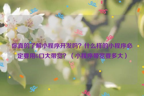 你真的了解小程序开发吗？什么样的小程序必定要用G口大带宽？（小程序带宽要多大）