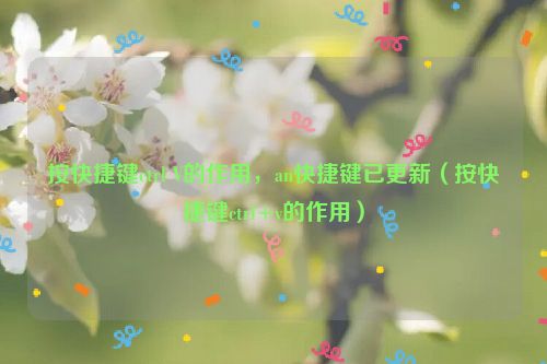 按快捷键ctrl V的作用，an快捷键已更新（按快捷键ctrl+v的作用）