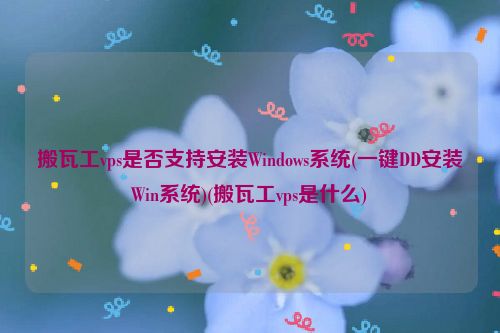 搬瓦工vps是否支持安装Windows系统(一键DD安装Win系统)(搬瓦工vps是什么)