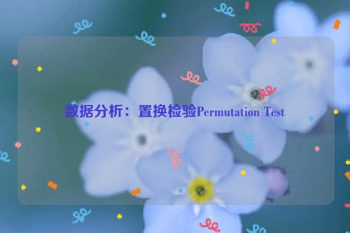 数据分析：置换检验Permutation Test