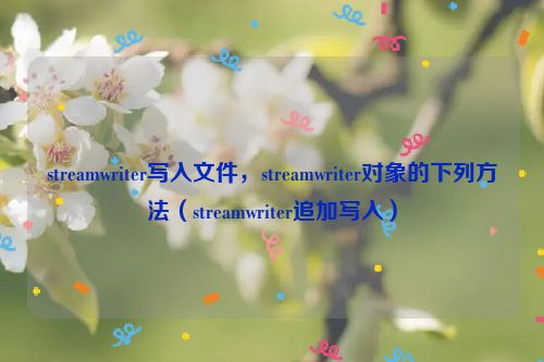 streamwriter写入文件，streamwriter对象的下列方法（streamwriter追加写入）