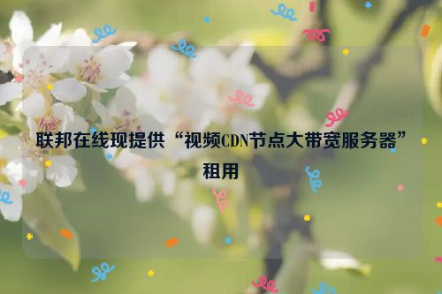 联邦在线现提供“视频CDN节点大带宽服务器”租用