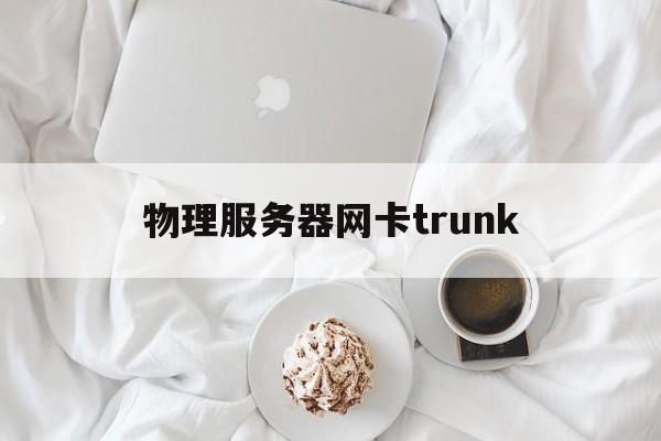 物理服务器网卡trunk(物理服务器网卡要和机房交换机匹配吗)