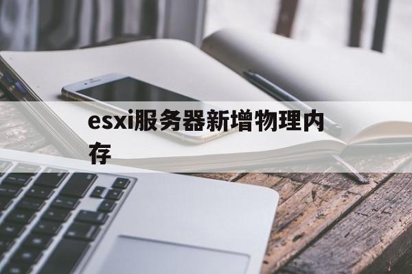 包含esxi服务器新增物理内存的词条