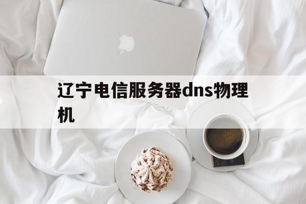 辽宁电信服务器dns物理机(辽宁电信dns的服务器地址是多少)
